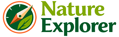 Nature Explorer